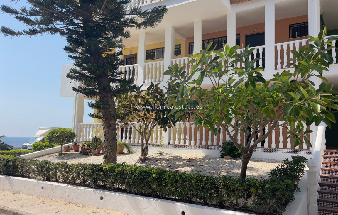 Alquiler a largo plazo - Apartamento / piso - Torrevieja - La Veleta