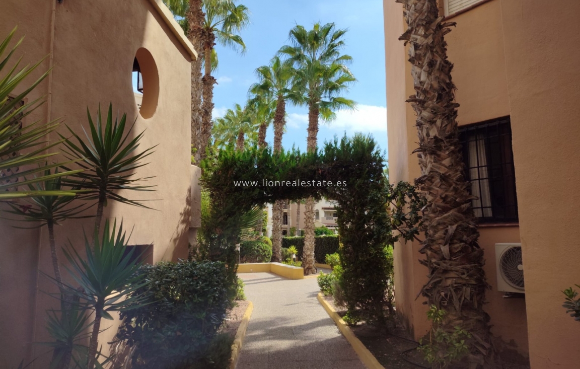 Alquiler a largo plazo - Apartamento / piso - Torrevieja - Los Locos