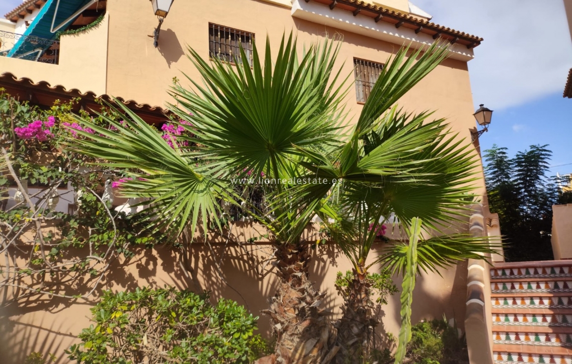 Alquiler a largo plazo - Apartamento / piso - Torrevieja - Los Locos