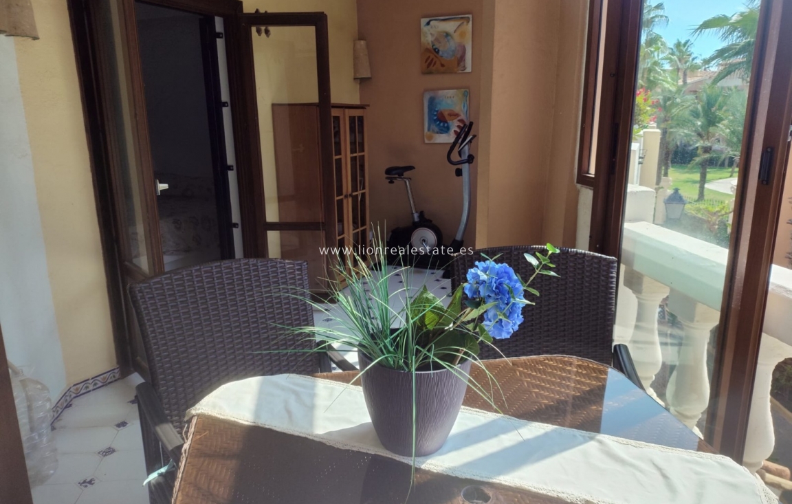 Alquiler a largo plazo - Apartamento / piso - Torrevieja - Los Locos