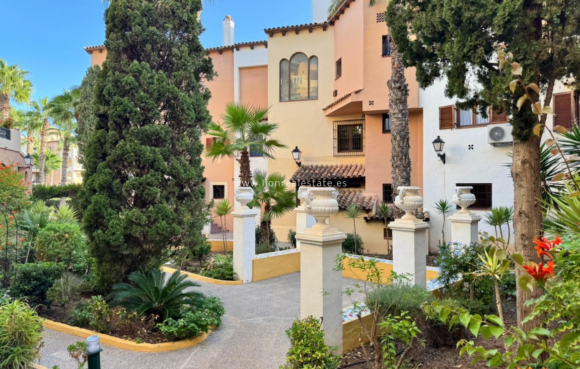 Alquiler a largo plazo - Apartamento / piso - Torrevieja - Los Locos