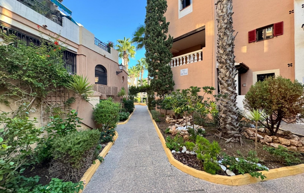 Alquiler a largo plazo - Apartamento / piso - Torrevieja - Los Locos