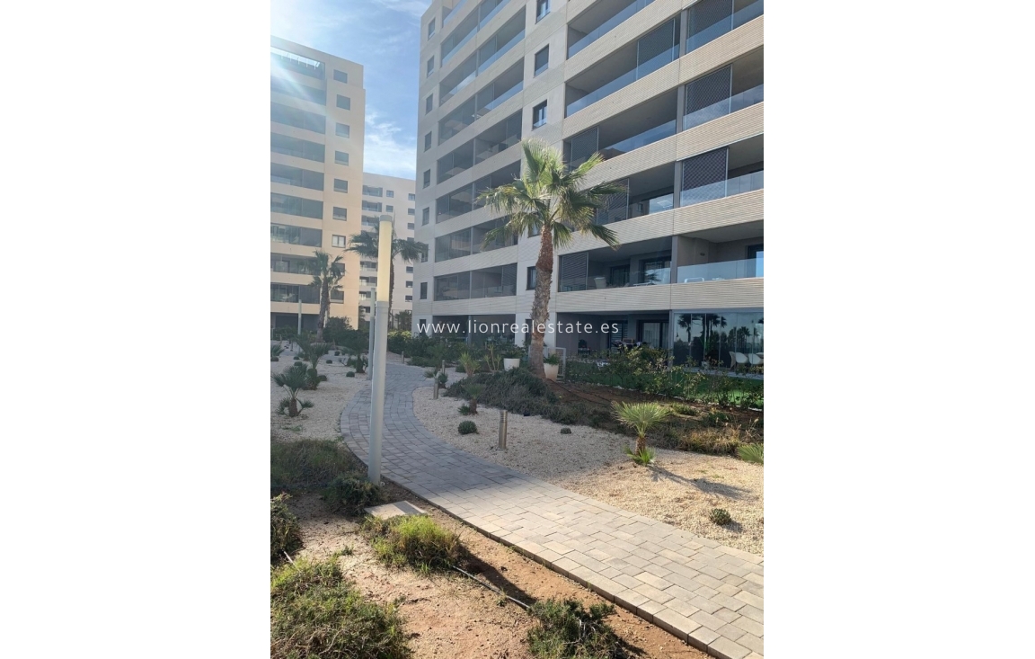 Alquiler a largo plazo - Apartamento / piso - Torrevieja - Punta Prima