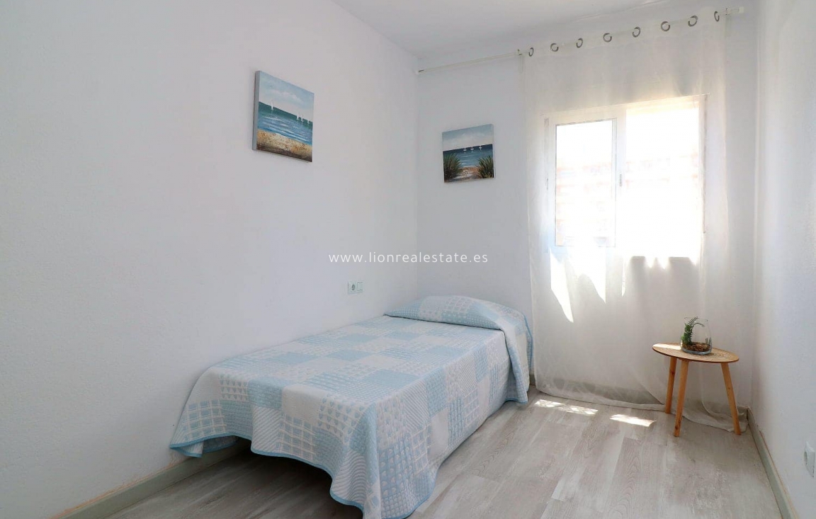 Alquiler a largo plazo - Apartamento / piso - Torrevieja - Punta Prima