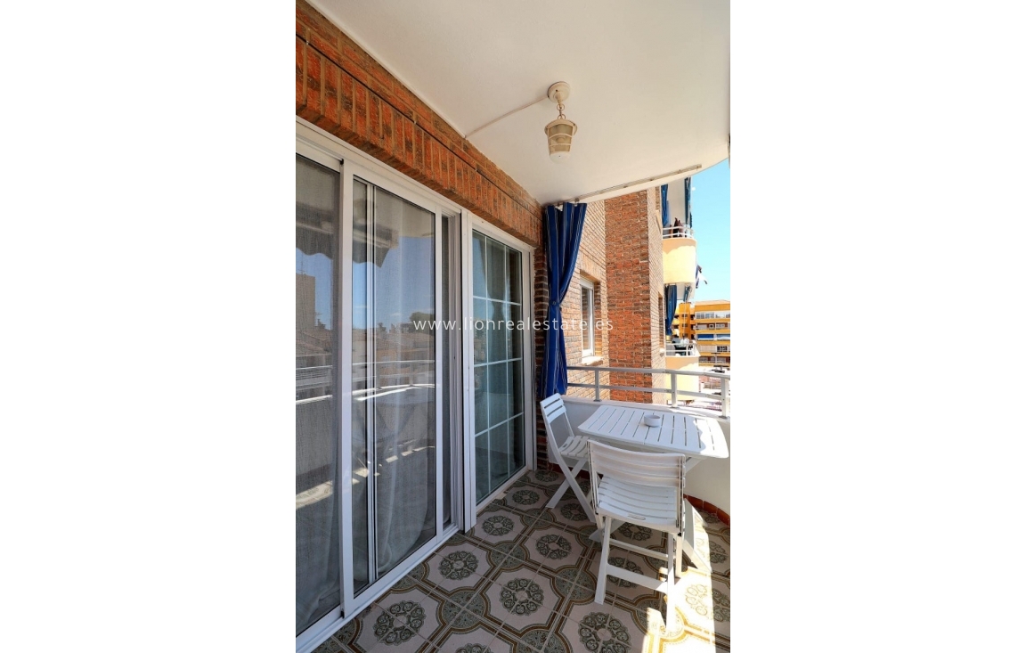 Alquiler a largo plazo - Apartamento / piso - Torrevieja - Punta Prima