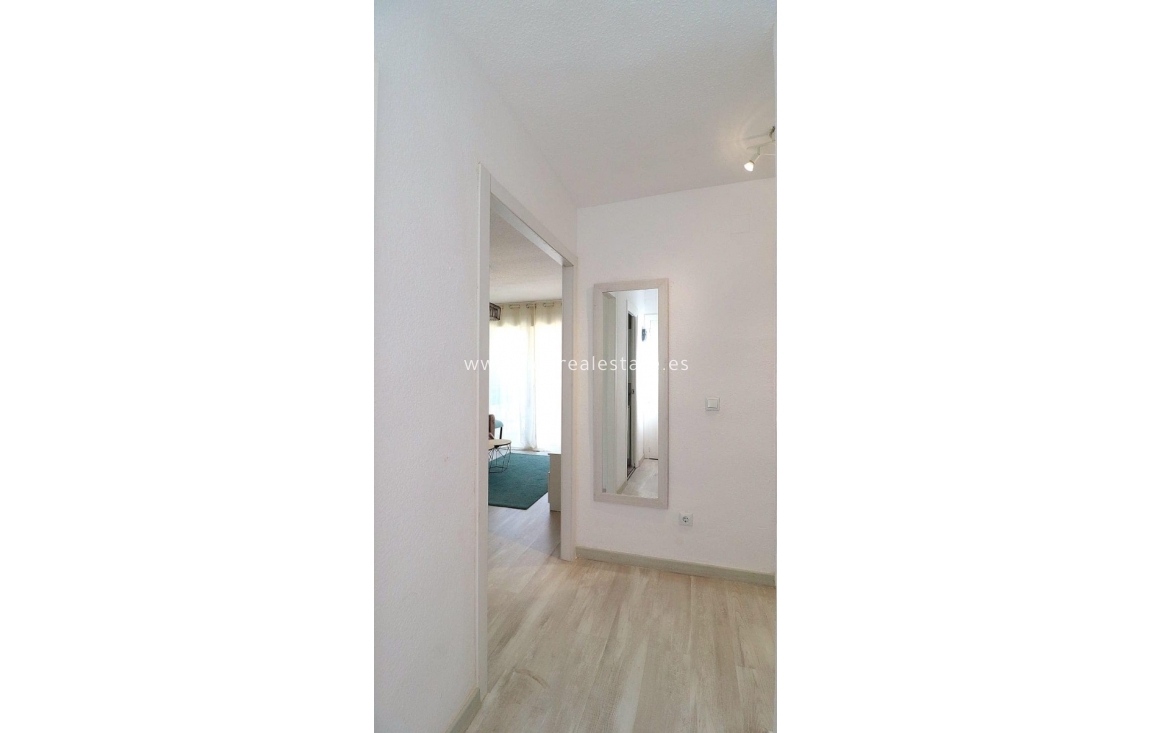 Alquiler a largo plazo - Apartamento / piso - Torrevieja - Punta Prima