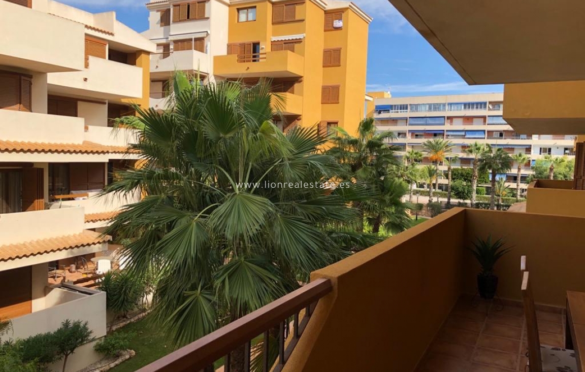 Alquiler a largo plazo - Apartamento / piso - Torrevieja - Punta Prima