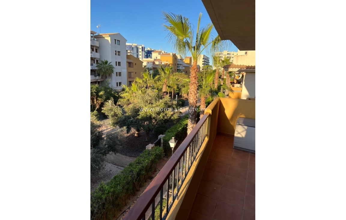 Alquiler a largo plazo - Apartamento / piso - Torrevieja - Punta Prima