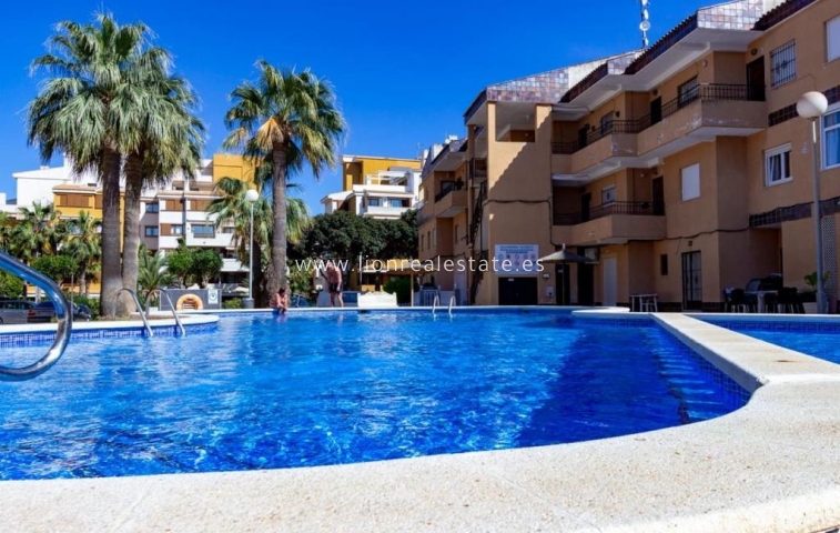 Alquiler a largo plazo - Apartamento / piso - Torrevieja - Punta Prima