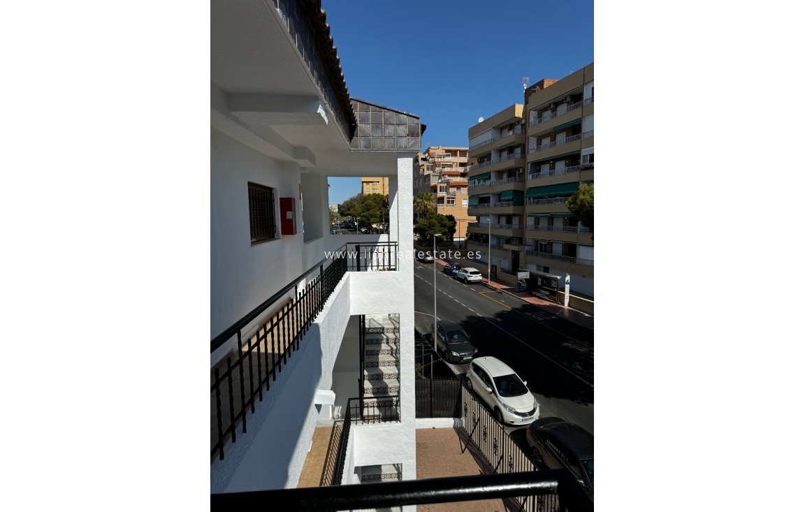 Alquiler a largo plazo - Apartamento / piso - Torrevieja - Punta Prima