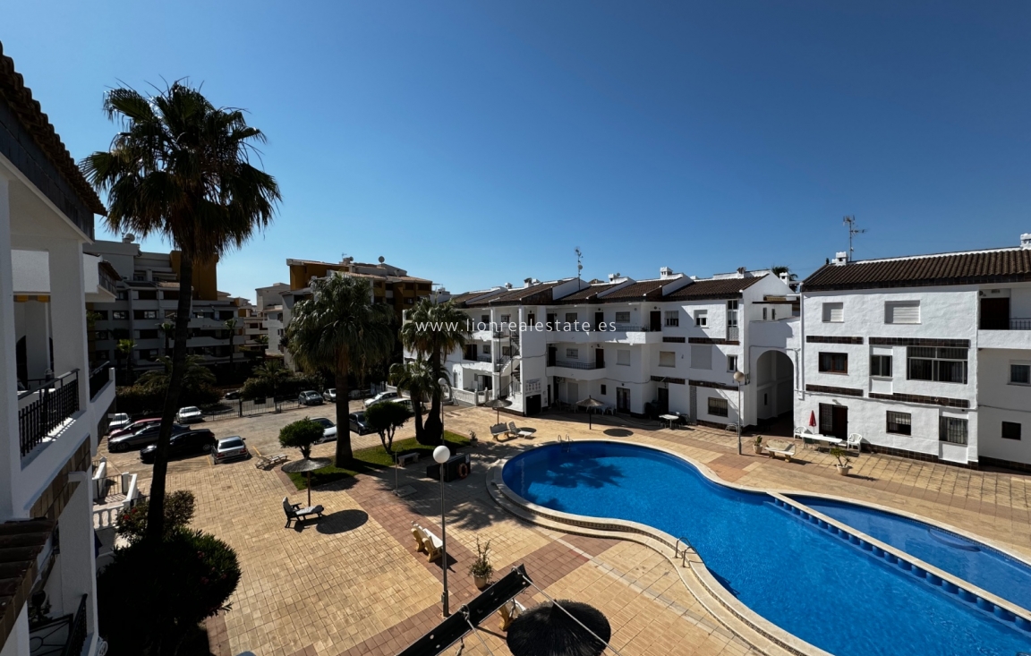 Alquiler a largo plazo - Apartamento / piso - Torrevieja - Punta Prima