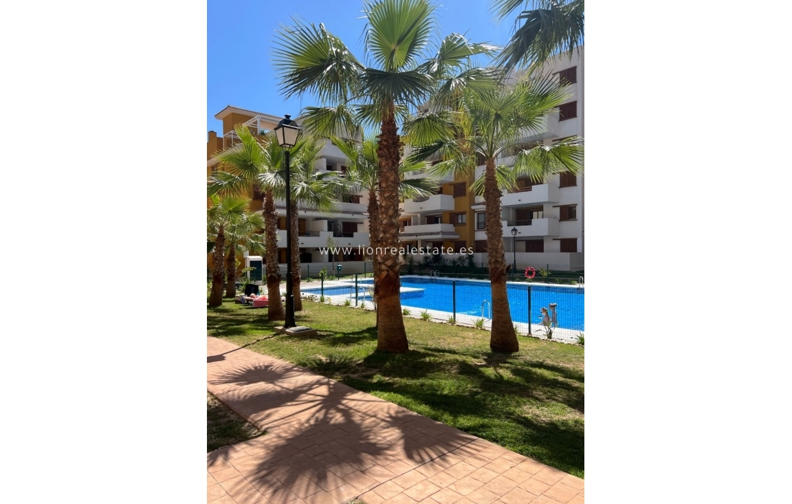 Alquiler a largo plazo - Apartamento / piso - Torrevieja - Punta Prima