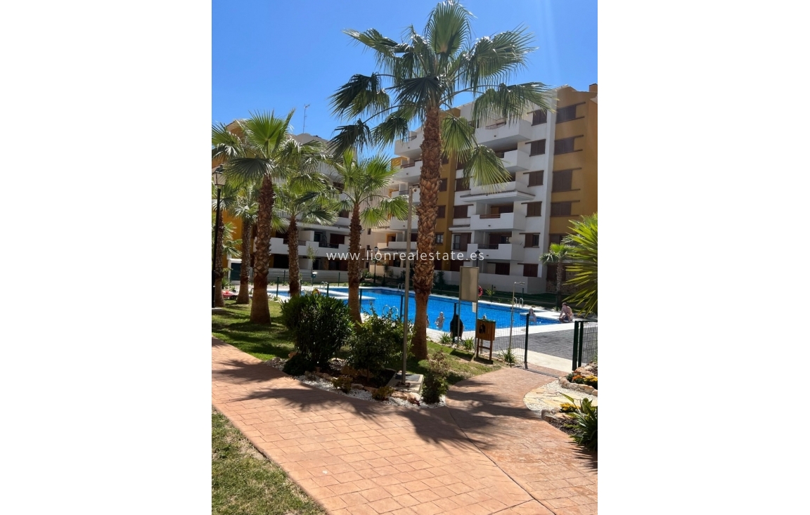 Alquiler a largo plazo - Apartamento / piso - Torrevieja - Punta Prima