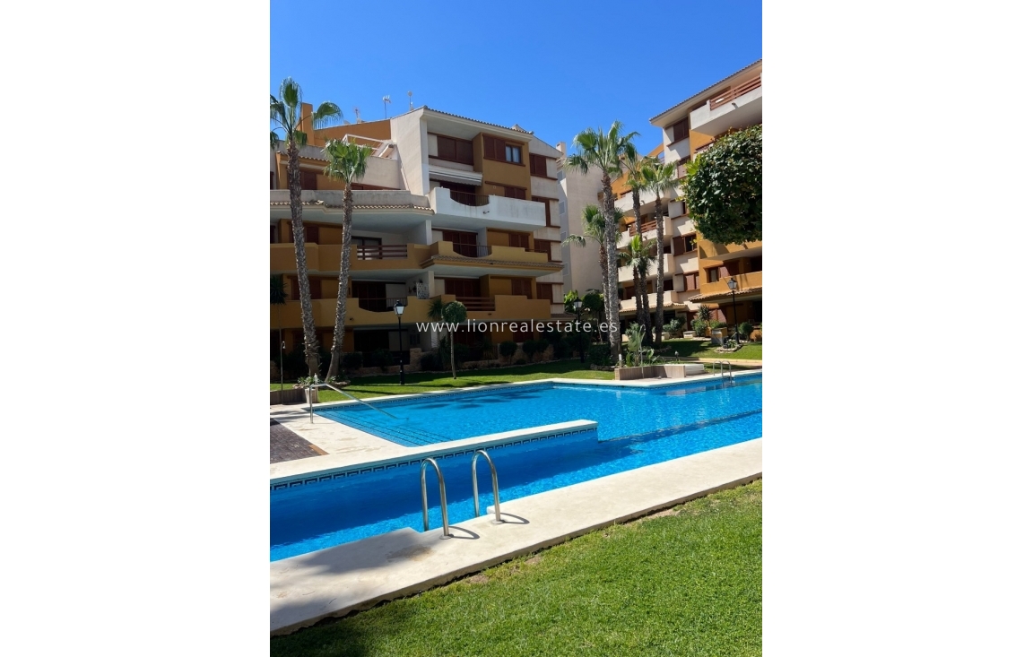 Alquiler a largo plazo - Apartamento / piso - Torrevieja - Punta Prima