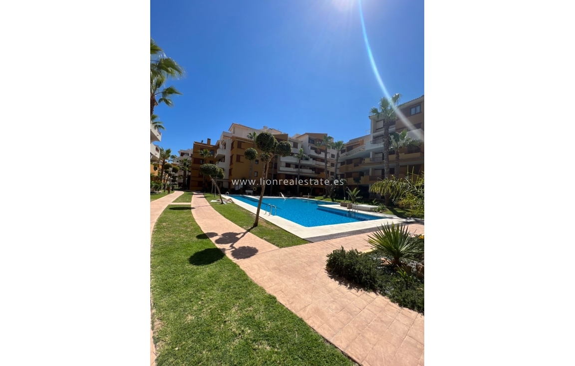 Alquiler a largo plazo - Apartamento / piso - Torrevieja - Punta Prima