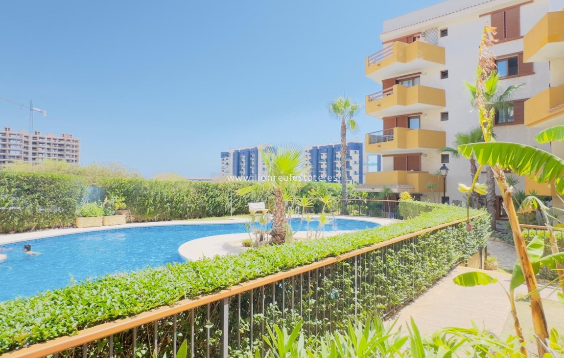 Alquiler a largo plazo - Apartamento / piso - Torrevieja - Punta Prima