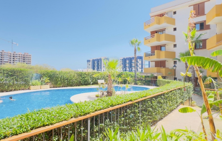 Alquiler a largo plazo - Apartamento / piso - Torrevieja - Punta Prima