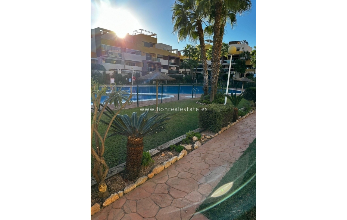 Alquiler a largo plazo - Apartamento / piso - Torrevieja - Punta Prima