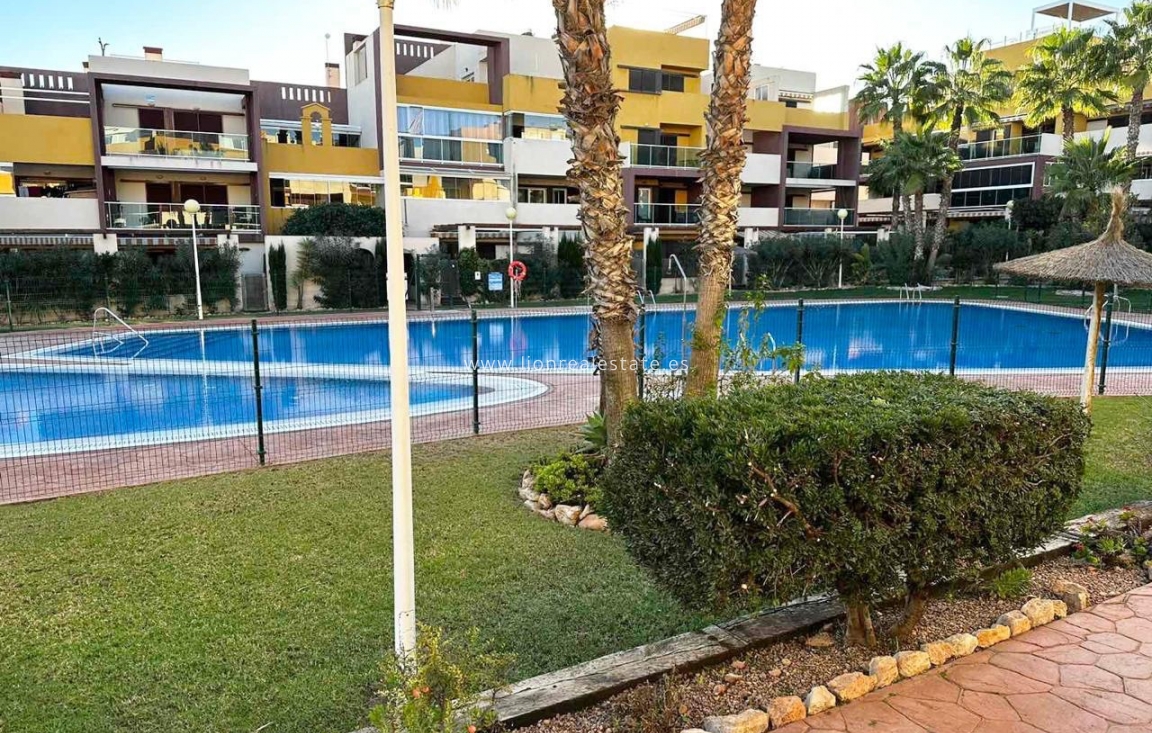 Alquiler a largo plazo - Apartamento / piso - Torrevieja - Punta Prima