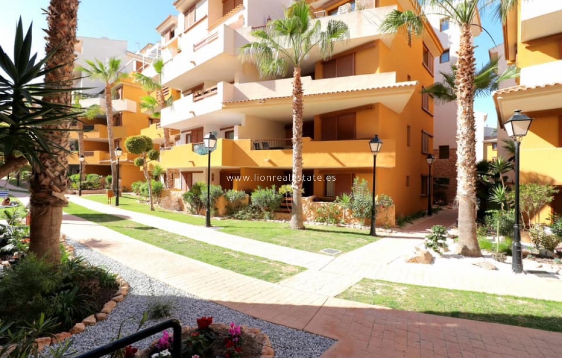 Alquiler a largo plazo - Apartamento / piso - Torrevieja - Punta Prima