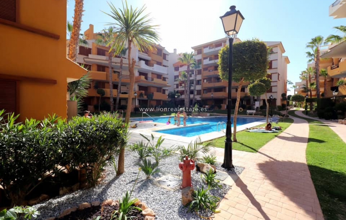 Alquiler a largo plazo - Apartamento / piso - Torrevieja - Punta Prima