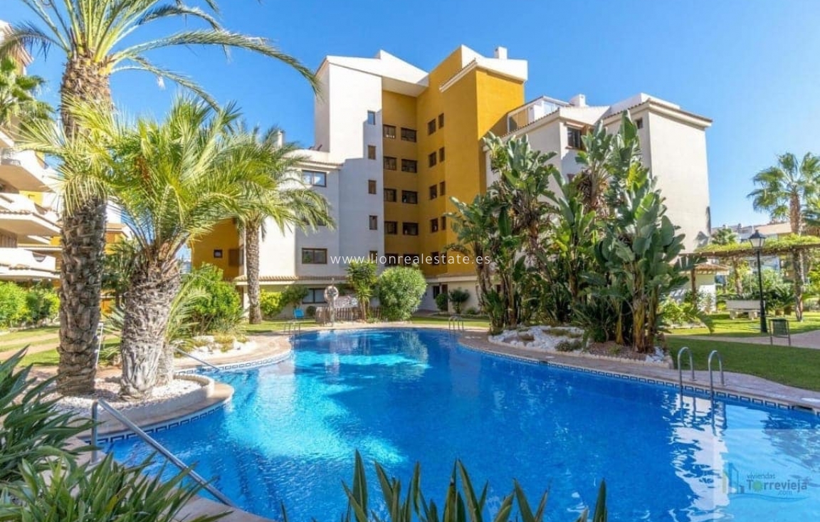 Alquiler a largo plazo - Apartamento / piso - Torrevieja - Punta Prima