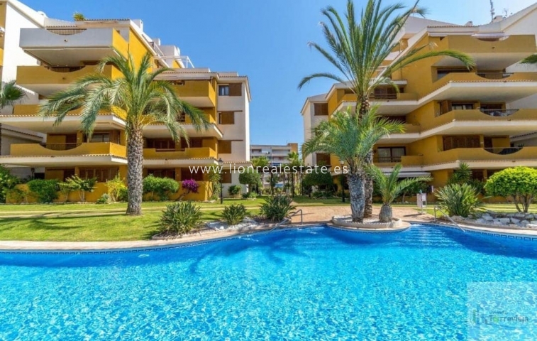 Alquiler a largo plazo - Apartamento / piso - Torrevieja - Punta Prima