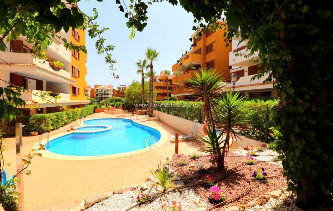 Alquiler a largo plazo - Apartamento / piso - Torrevieja - Punta Prima