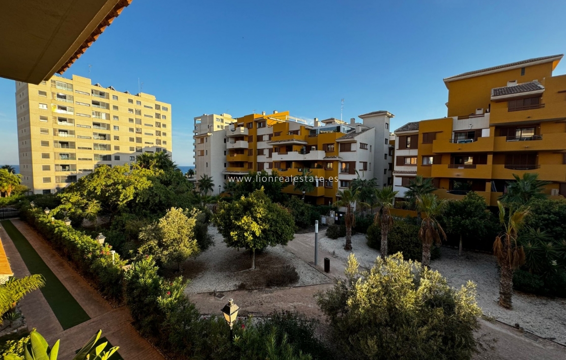 Alquiler a largo plazo - Apartamento / piso - Torrevieja - Punta Prima