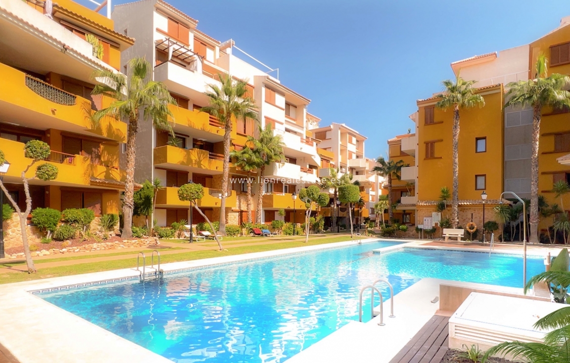 Alquiler a largo plazo - Apartamento / piso - Torrevieja - Punta Prima