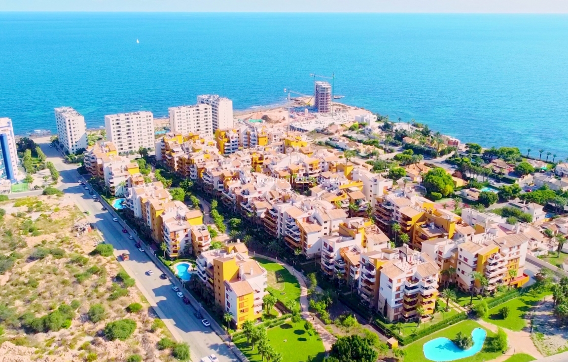 Alquiler a largo plazo - Apartamento / piso - Torrevieja - Punta Prima