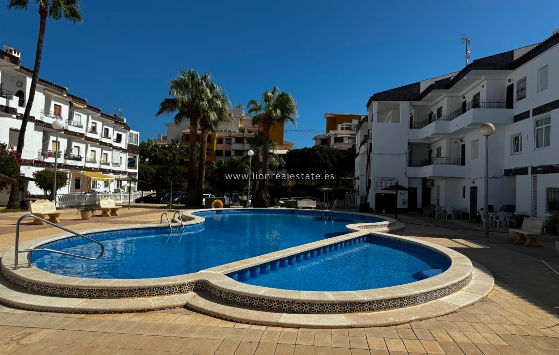 Alquiler a largo plazo - Apartamento / piso - Torrevieja - Punta Prima