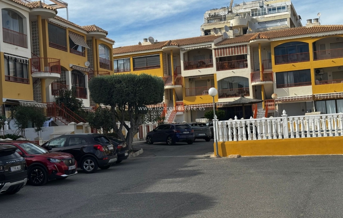 Alquiler a largo plazo - Apartamento / piso - Torrevieja - Torreblanca