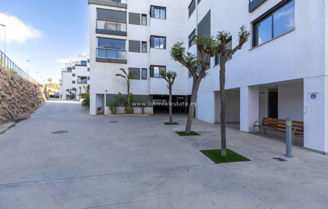 Alquiler a largo plazo - Bajo - Orihuela Costa - Lomas De Campoamor-las Ramblas