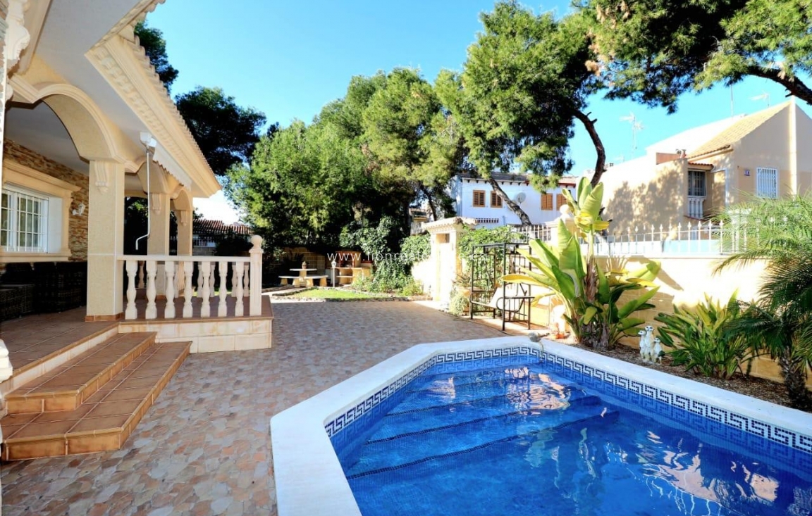 Alquiler a largo plazo - Villa - Punta Prima
