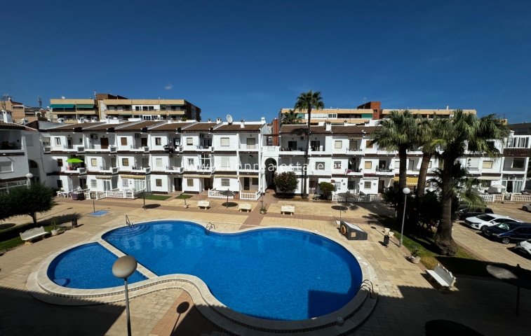 Apartamento / piso - Alquiler a corto plazo - Orihuela Costa - Punta Prima