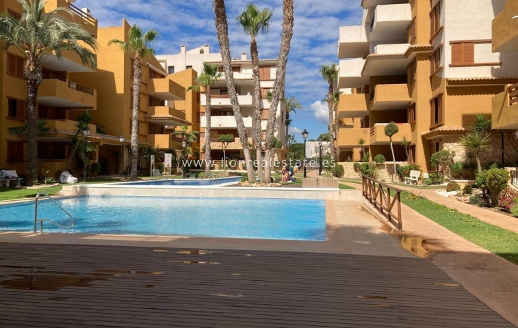 Apartamento / piso - Alquiler a largo plazo - Punta Prima - LR-0107