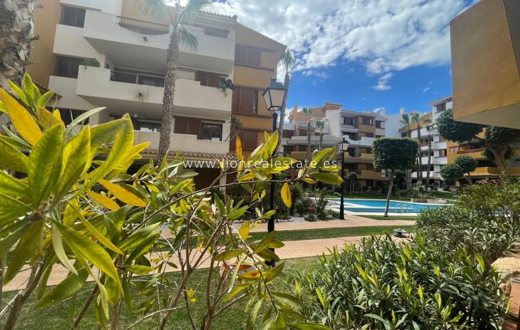 Apartamento / piso - Alquiler a largo plazo - Punta Prima - Punta Prima