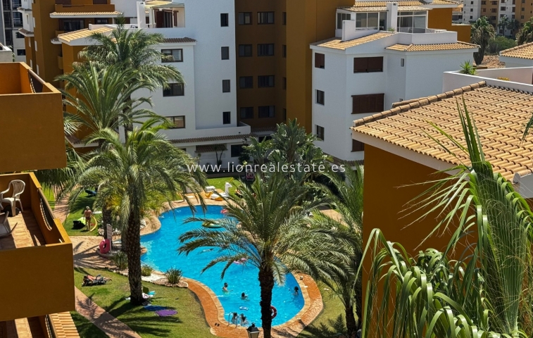 Apartamento / piso - Alquiler a largo plazo - Punta Prima - Punta Prima