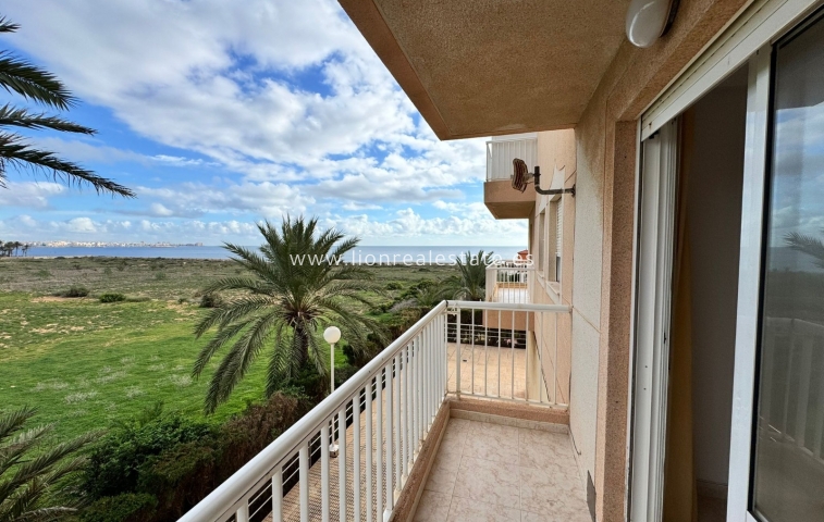 Apartamento / piso - Alquiler a largo plazo - Punta Prima - Punta Prima