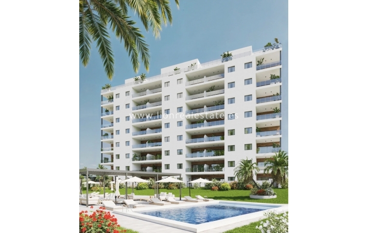 Apartamento / piso - Obra nueva - Benidorm - Benidorm