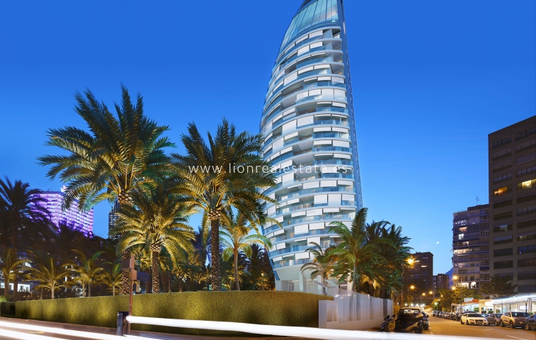 Apartamento / piso - Obra nueva - Benidorm - Benidorm