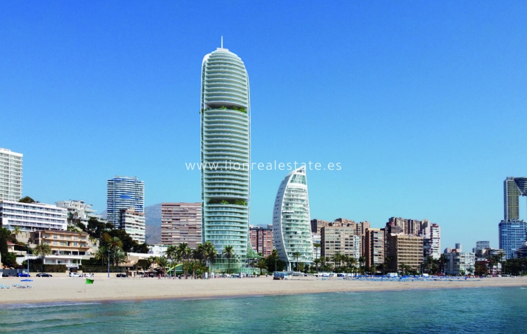 Apartamento / piso - Obra nueva - Benidorm - Benidorm