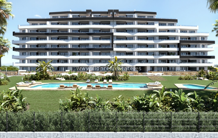 Apartamento / piso - Obra nueva - San Miguel de Salinas - San Miguel De Salinas
