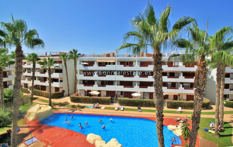 Apartamento / piso - Reventa - Playa Flamenca - Playa Flamenca