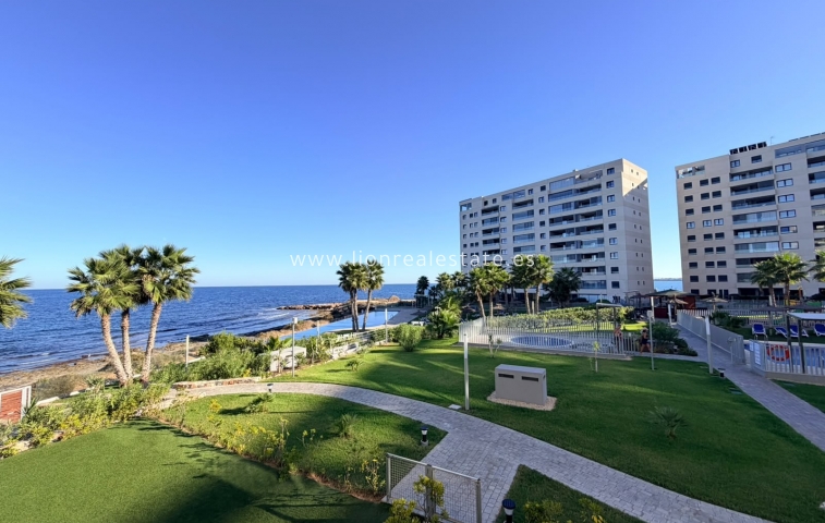 Apartment / flat - Long Term Rental - Punta Prima - Punta Prima