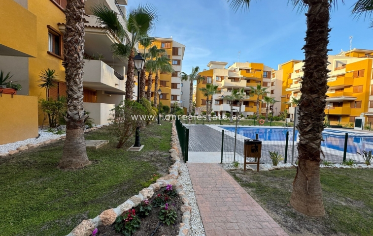 Apartment / flat - Long Term Rental - Torrevieja - LR-0504