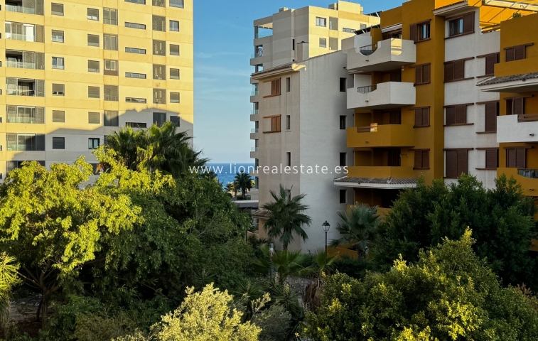 Apartment / flat - Long Term Rental - Torrevieja - Punta Prima