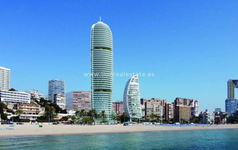 Apartment / flat - New Build - Benidorm - Benidorm