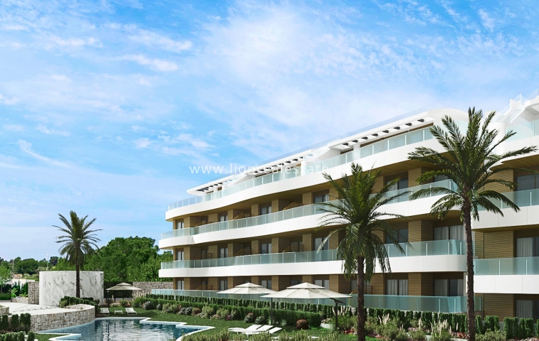 Apartment / flat - New Build - Playa Flamenca - Playa Flamenca